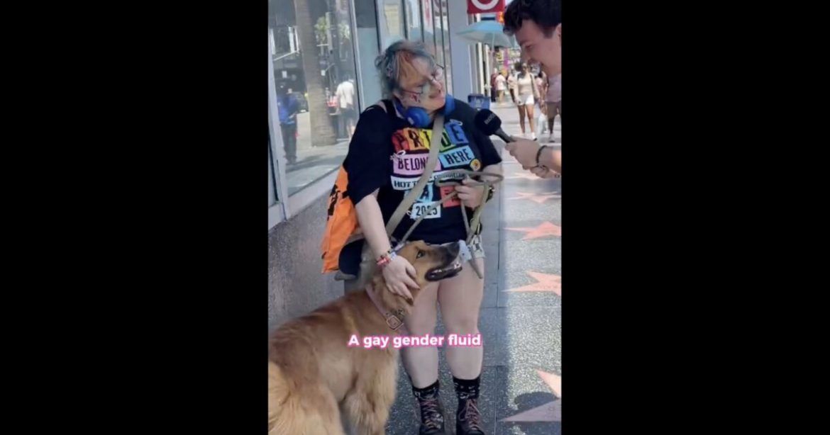 INSANITY: Woman Claims Her Dog Is a “Gay Gender Fluid” (VIDEO)