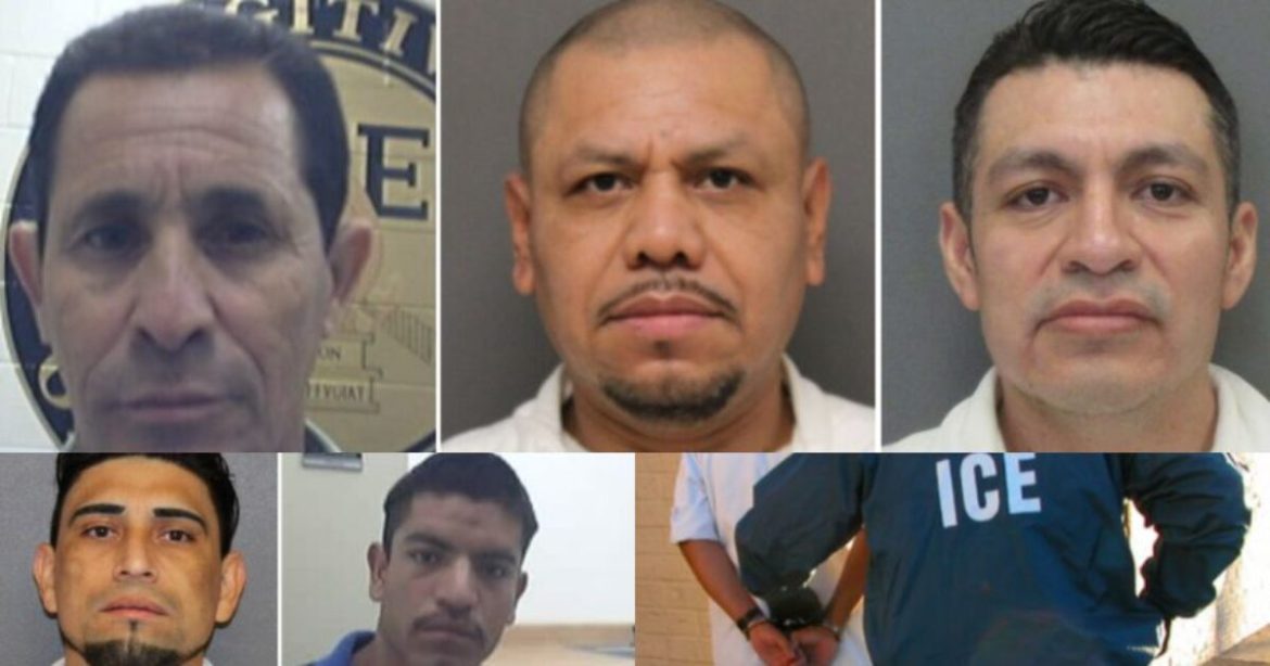 ICE Arrests Over 200 Illegal Aliens Convicted for Sex Offenses Involving Minors in Houston Area