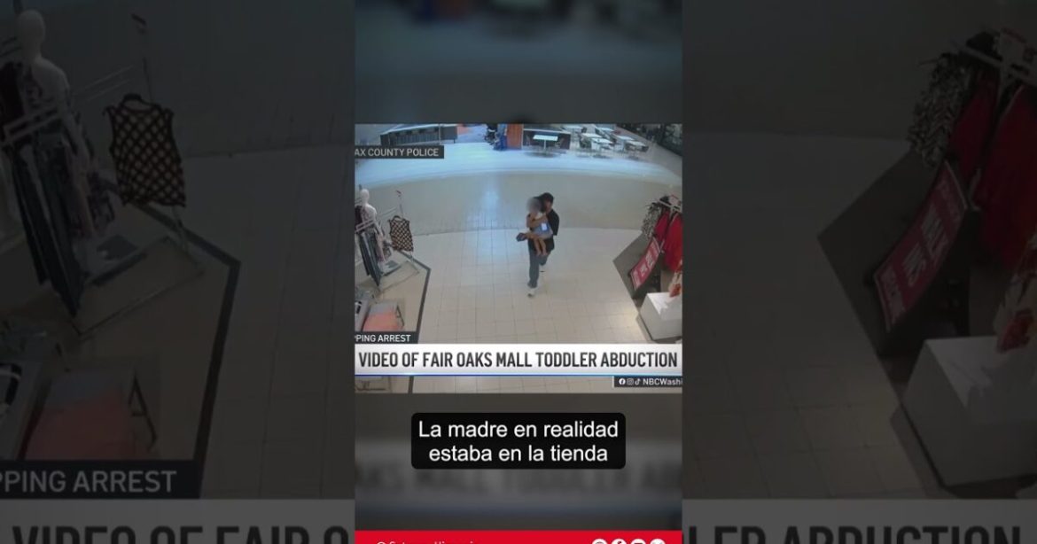 WATCH: Shocking Surveillance Footage Shows Immigrant Kidnapping Young Girl at Fairfax, Virginia Mall