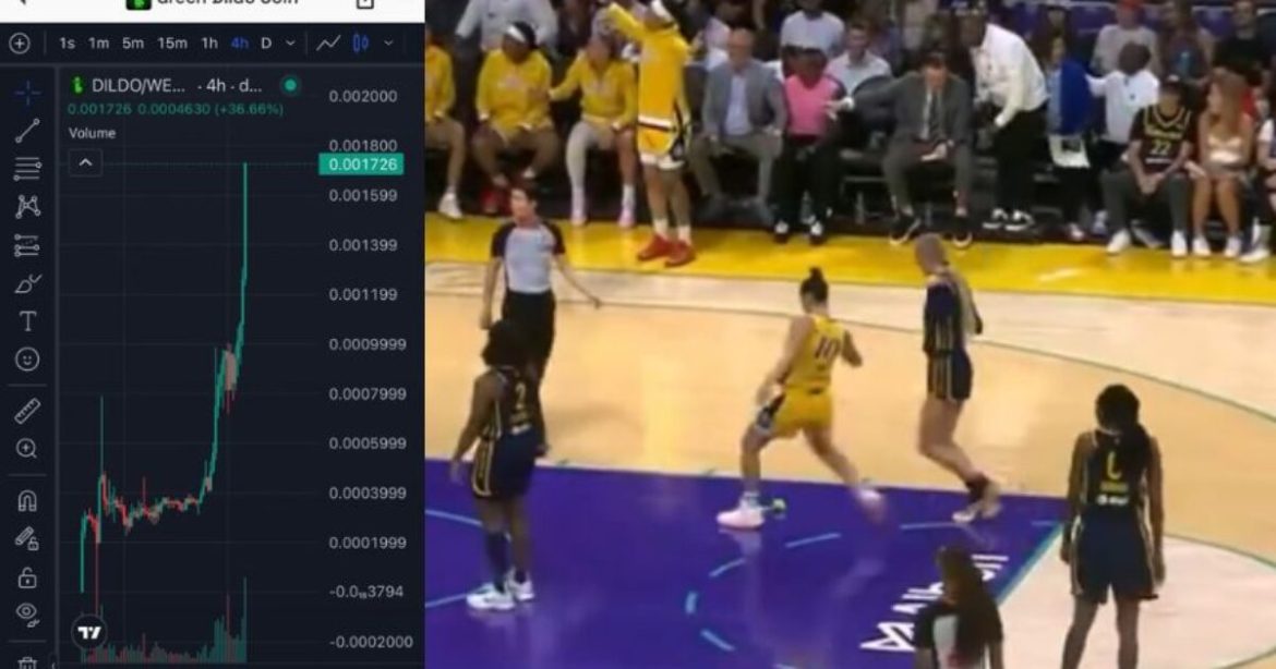Series of Dildo-Throwing Incidents at WNBA Games Reportedly Tied to Meme Coin Pump Scheme